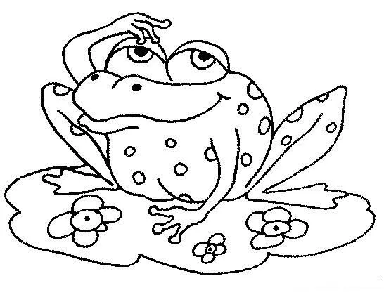 Desenhos de Sapos / Sapinhos para Colorir - Desenhos Para Colorir