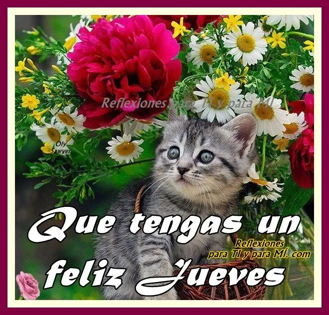 Buenos Deseos para TI y para MÍ: * Que tengas un feliz Jueves Buenos Deseos para TI y para MÍ: * Que tengas un feliz Jueves