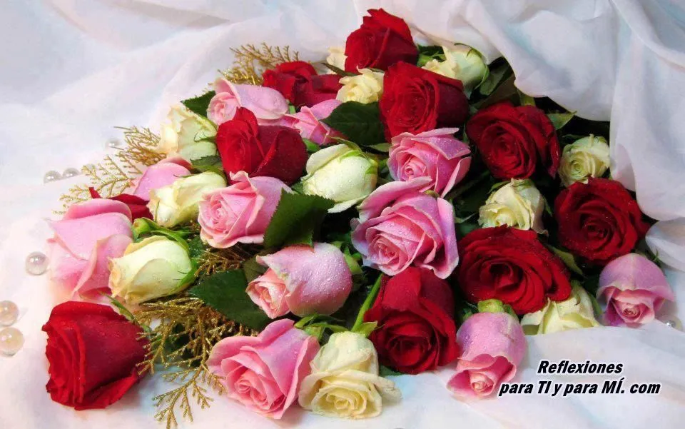 Buenos Deseos para TI y para MÍ: * Ramos Rosas Rojas, Rosas y Blancas Buenos Deseos para TI y para MÍ: * Ramos Rosas Rojas, Rosas y Blancas
