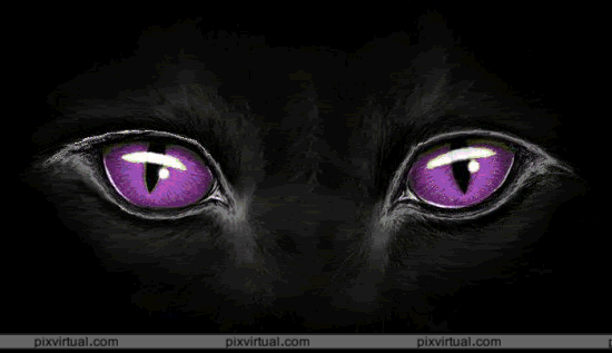 Desgarga gratis los mejores gifs animados de ojos. Imágenes ... Desgarga gratis los mejores gifs animados de ojos. Imágenes ...
