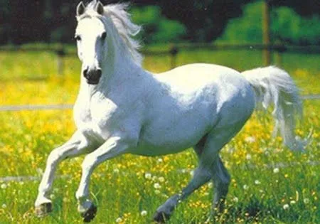 Aunque hay desgracias, son mas bonitas las maravillas de la naturaleza ... Aunque hay desgracias, son mas bonitas las maravillas de la naturaleza ...