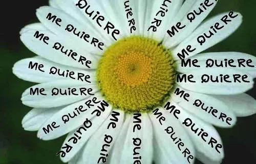 Cosas que me han llamado la atención… | Non Perfect. El blog ...