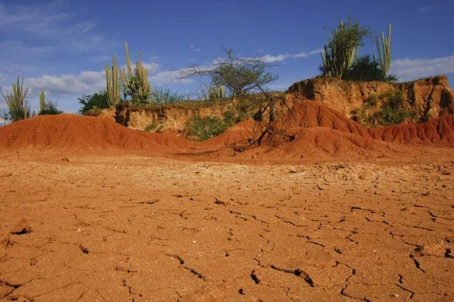 Desiertos_Colombia -| Portal de medicina