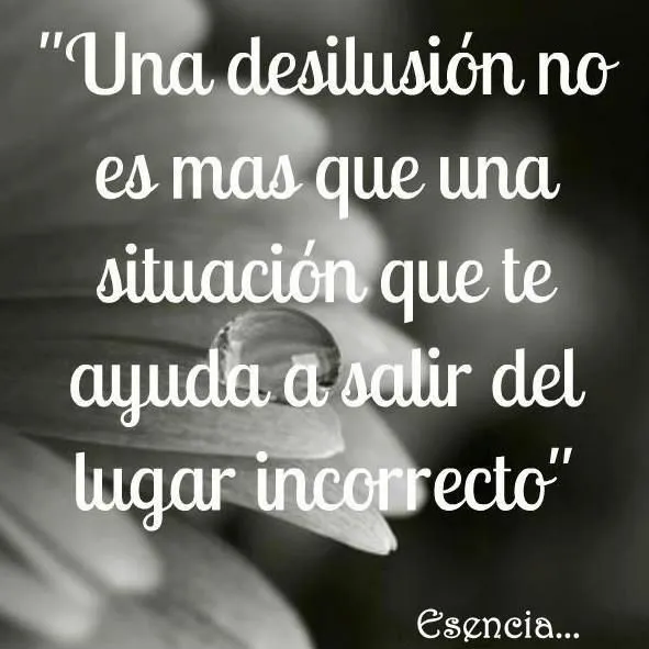 Una desilusión no es más que una situación que te ayuda a salir ...