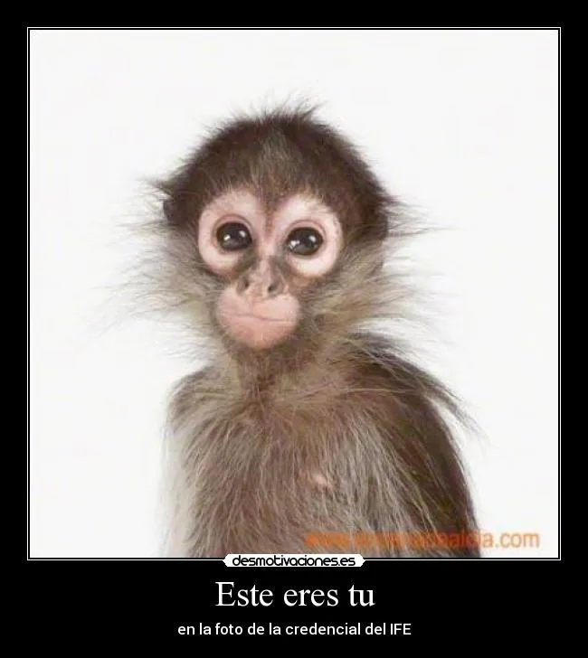 Este eres tu | Desmotivaciones