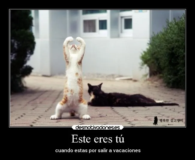 Vacaciones frases - Imagui