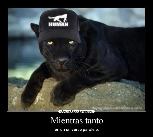 Carteles de Pumas | Desmotivaciones