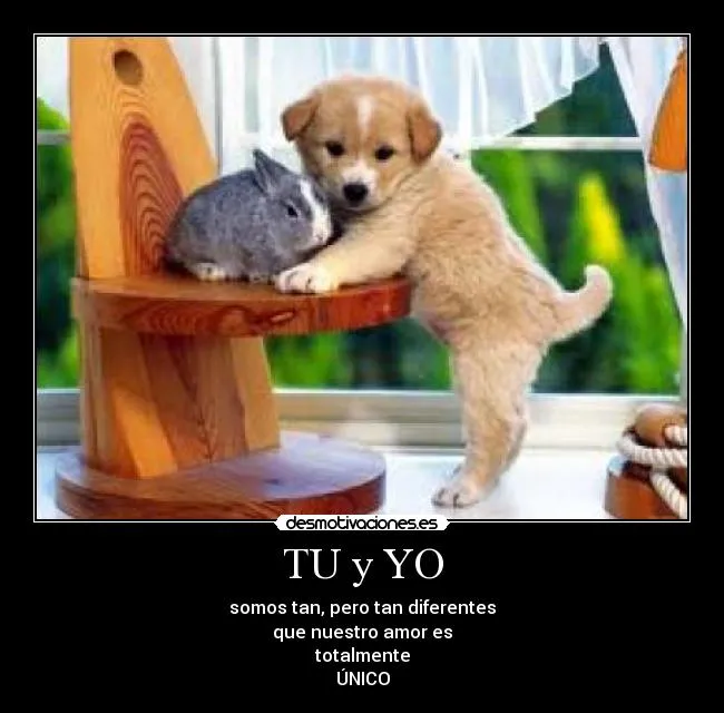 TU y YO | Desmotivaciones