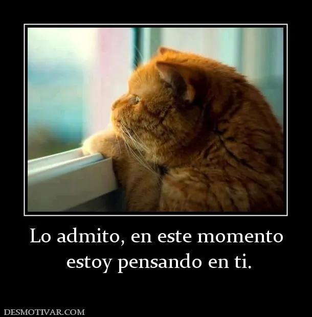 Desmotivaciones Lo admito, en este momento estoy pensando en ti. Desmotivaciones Lo admito, en este momento estoy pensando en ti.