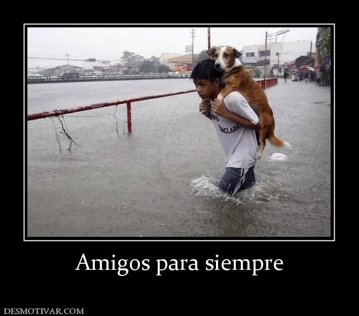 Desmotivaciones Amigos para siempre