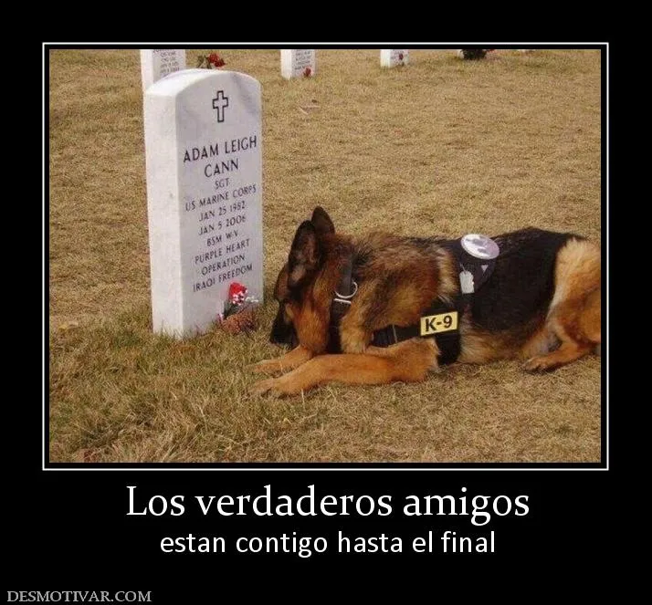 Desmotivaciones Amistad