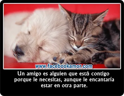 Desmotivaciones de amistad para compartir en facebook Imagenes ...