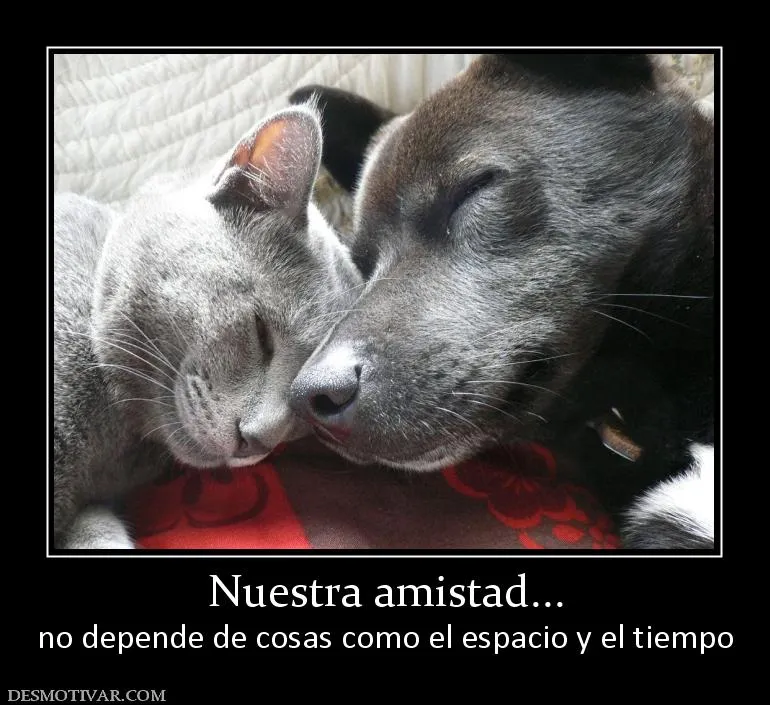 Desmotivaciones de amor y amistad : Desmotivaciones de amor Desmotivaciones de amor y amistad : Desmotivaciones de amor
