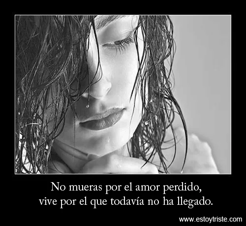Desmotivaciones de Amor y Amistad: Desmotivaciones de amor perdido Desmotivaciones de Amor y Amistad: Desmotivaciones de amor perdido