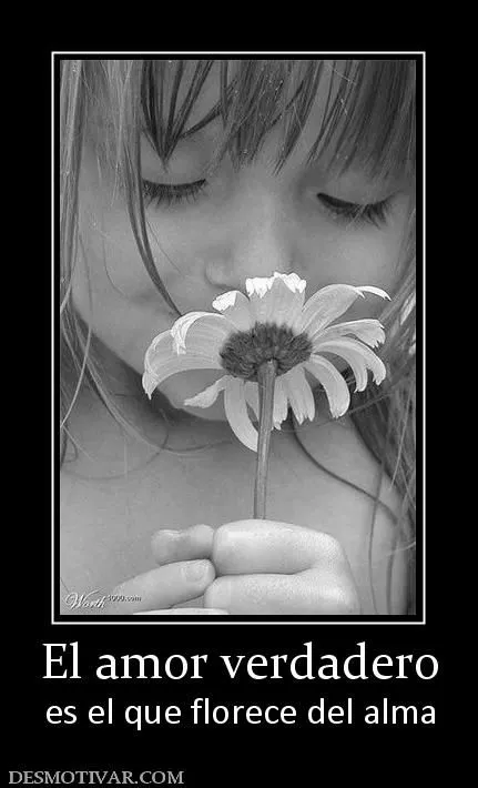 Desmotivaciones El amor verdadero es el que florece del alma