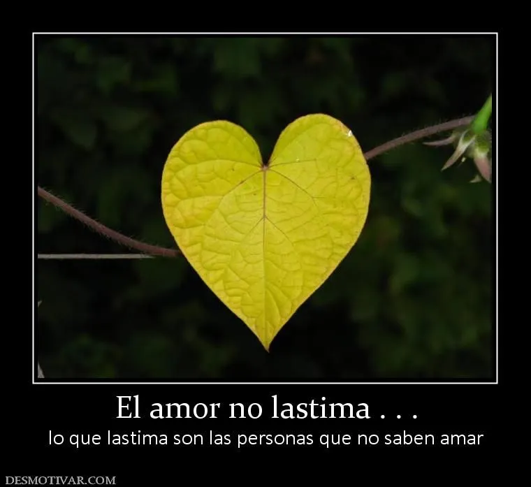 Desmotivaciones graciosas sobre amor - Imagui