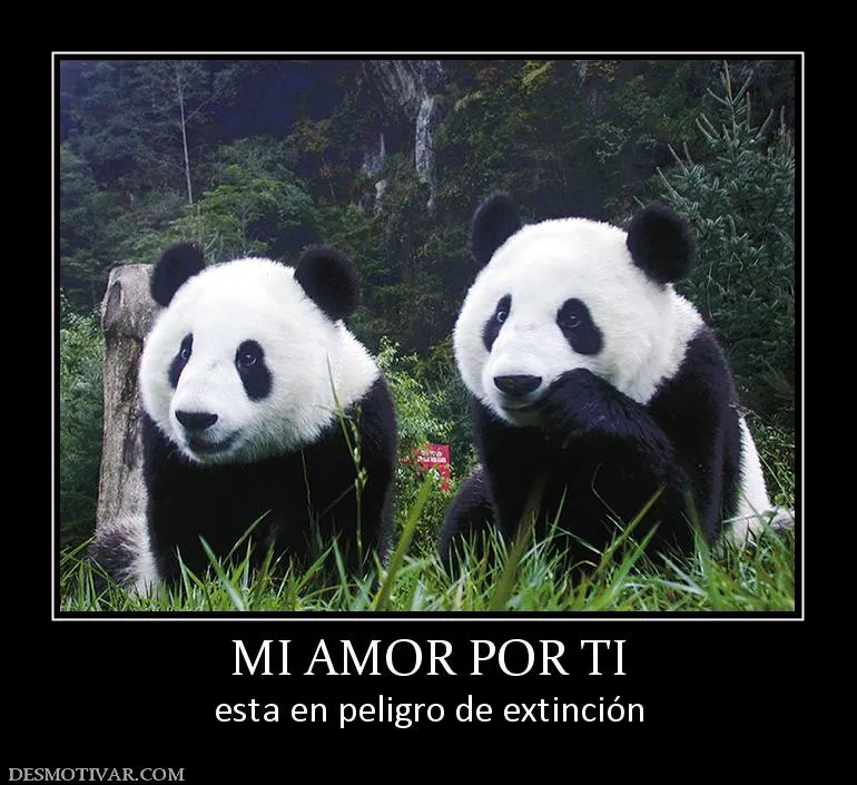 Desmotivaciones MI AMOR POR TI esta en peligro de extinción