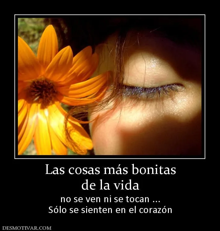 Desmotivaciones Las cosas más bonitas de la vida no se ven ni se ... Desmotivaciones Las cosas más bonitas de la vida no se ven ni se ...