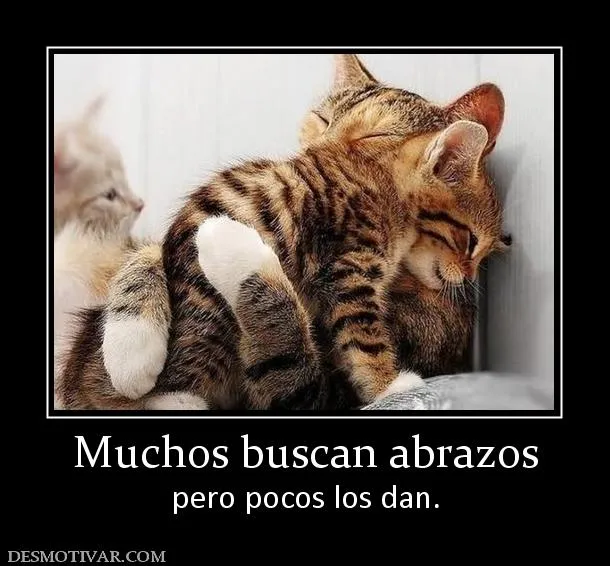Desmotivaciones Muchos buscan abrazos pero pocos los dan. Desmotivaciones Muchos buscan abrazos pero pocos los dan.
