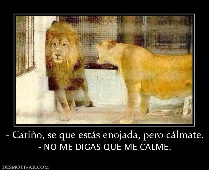Desmotivaciones - Cariño, se que estás enojada, pero c - NO ME ... Desmotivaciones - Cariño, se que estás enojada, pero c - NO ME ...