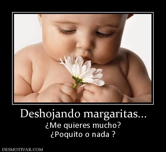 Desmotivaciones Deshojando margaritas... ¿Me quieres mucho ...