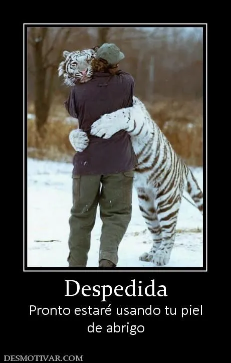 Desmotivaciones Despedida Pronto estaré usando tu piel de abrigo Desmotivaciones Despedida Pronto estaré usando tu piel de abrigo