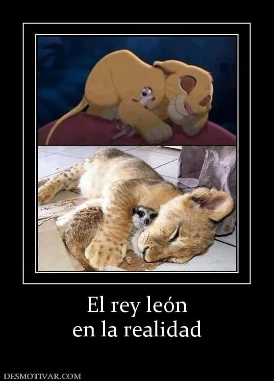Desmotivaciones Dibujos animados