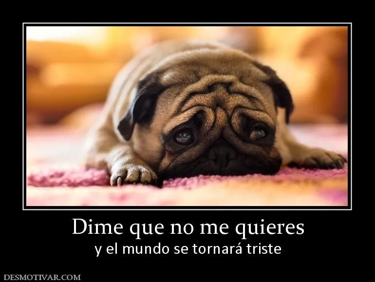 Desmotivaciones Dime que no me quieres y el mundo se tornará triste Desmotivaciones Dime que no me quieres y el mundo se tornará triste