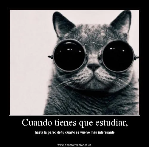 Desmotivaciones divertidas para los estudiantes holgazanes - Mil ... Desmotivaciones divertidas para los estudiantes holgazanes - Mil ...