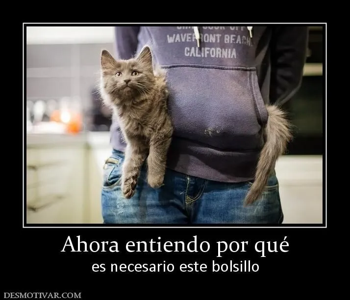 Desmotivaciones Ahora entiendo por qué es necesario este bolsillo Desmotivaciones Ahora entiendo por qué es necesario este bolsillo