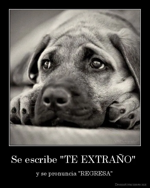 desmotivaciones te extraño para facebook | Para San Valentín