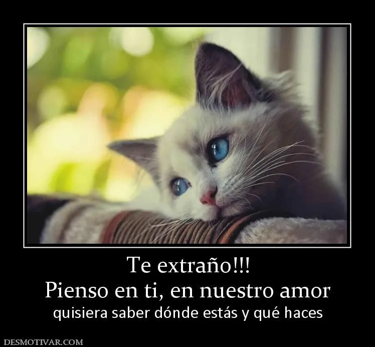 Desmotivaciones Te extraño!!! Pienso en ti, en nuestro amor ... Desmotivaciones Te extraño!!! Pienso en ti, en nuestro amor ...