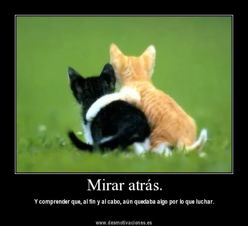 Desmotivaciones para Facebook relacionadas con la amistad - Mil ... Desmotivaciones para Facebook relacionadas con la amistad - Mil ...