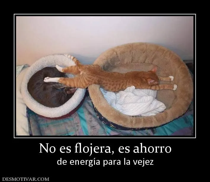 Desmotivaciones No es flojera, es ahorro de energía para la vejez ...