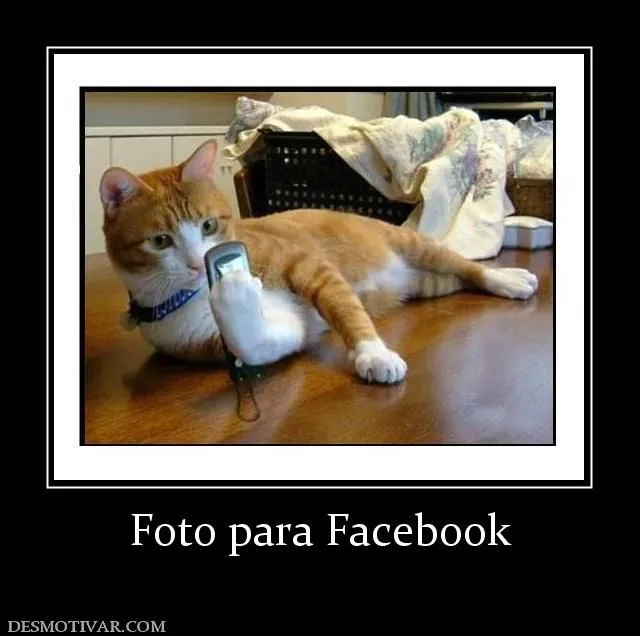 Desmotivaciones Foto para Facebook