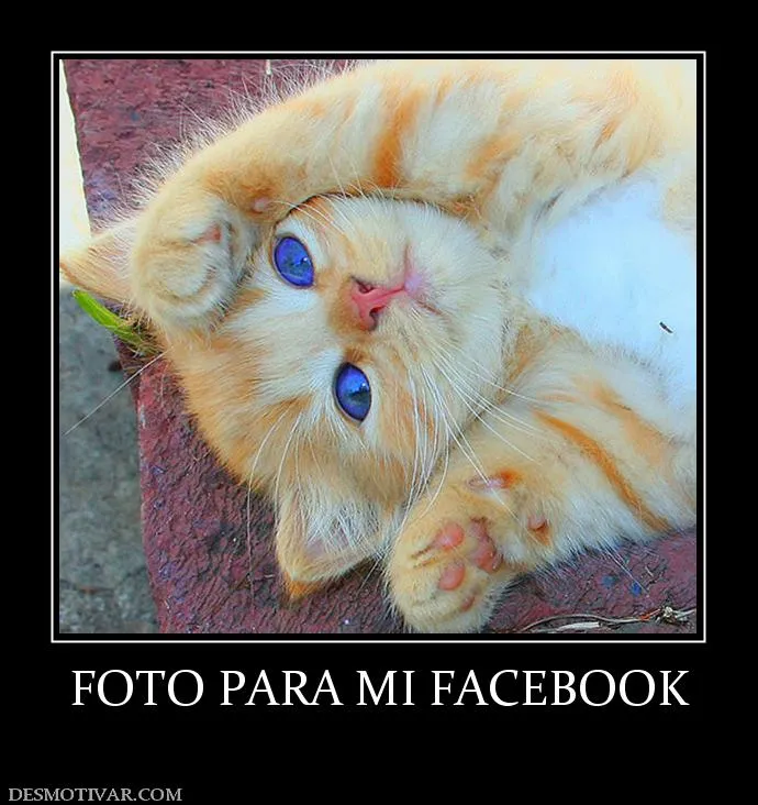 Desmotivaciones para Facebook - Imagui