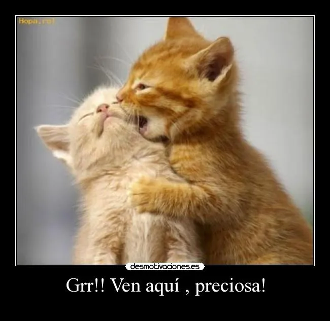 Carteles de Enamorados Pag. 6 | Desmotivaciones Carteles de Enamorados Pag. 6 | Desmotivaciones