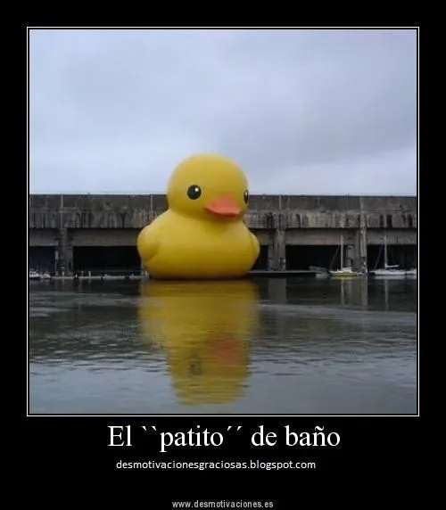 Desmotivaciones Graciosas