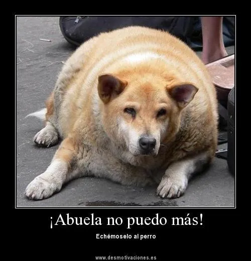 Desmotivaciones Graciosas