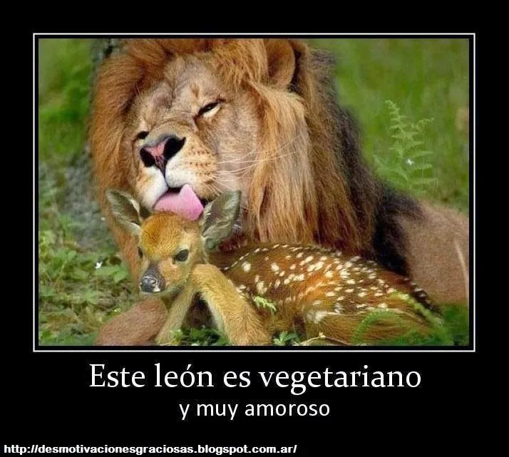 Desmotivaciones Graciosas: Desmotivaciones que vale la pena ver