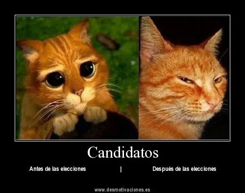 desmotivaciones graciosas motivaciones chistosas de amor desmotivaciones graciosas motivaciones chistosas de amor