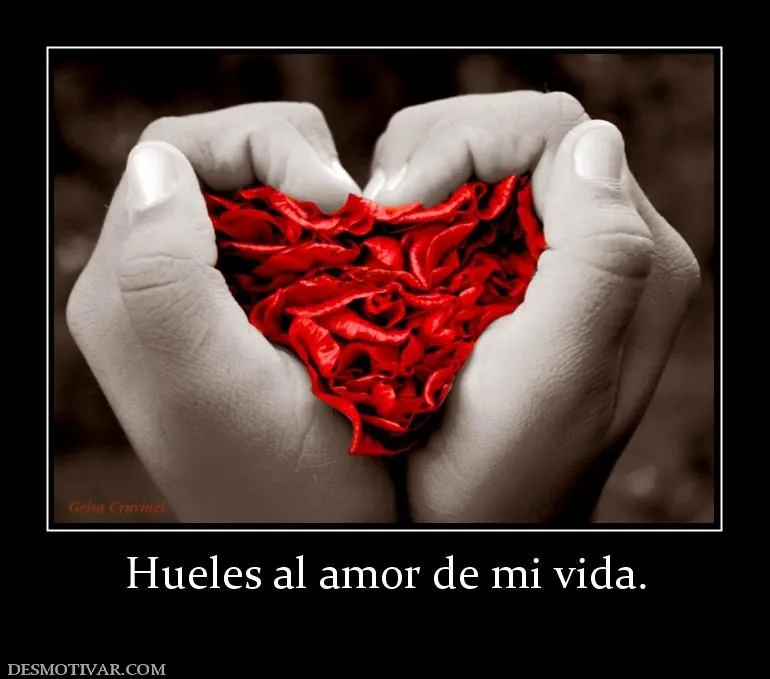 Desmotivaciones Hueles al amor de mi vida.