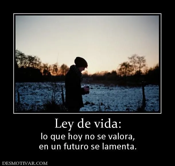 Desmotivaciones Ley de vida: lo que hoy no se valora, en un futuro ...