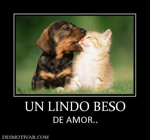 Desmotivaciones UN LINDO BESO DE AMOR..