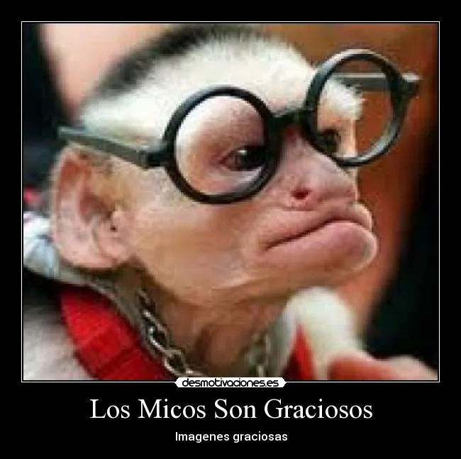 Desmotivaciones de micos - desmotivaciones. Desmotivaciones de micos - desmotivaciones.
