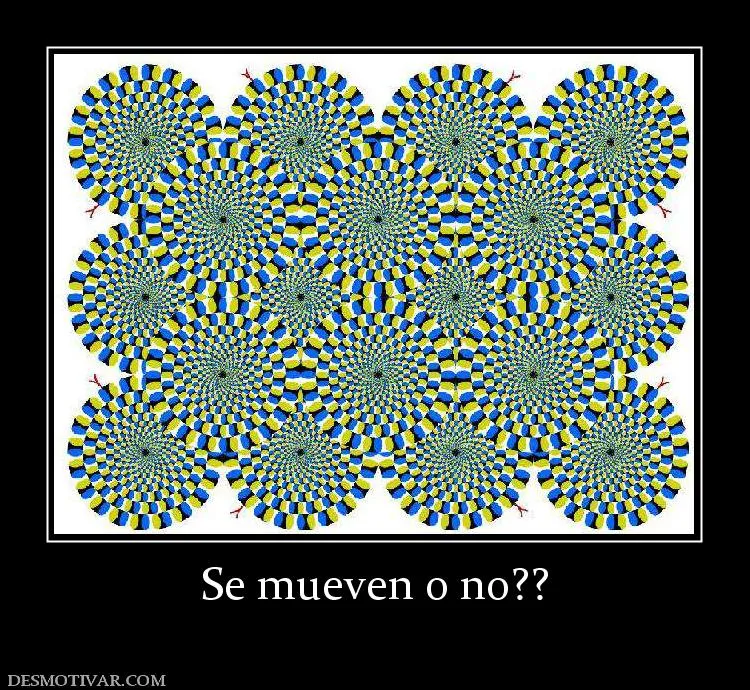 Desmotivaciones Se mueven o no??