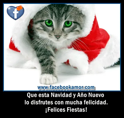 Desmotivaciones para navidad Imagenes bonitas para muro de facebook