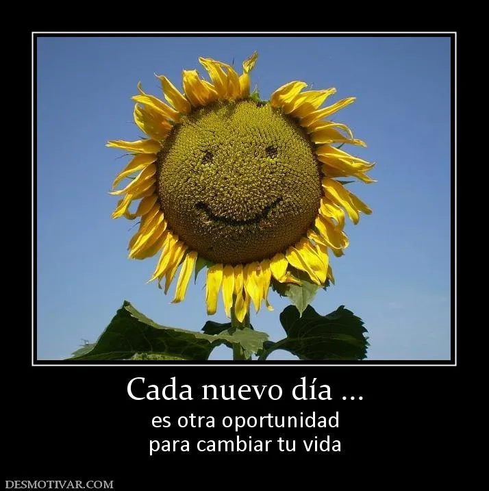 Desmotivaciones Cada nuevo día ... es otra oportunidad para ... Desmotivaciones Cada nuevo día ... es otra oportunidad para ...