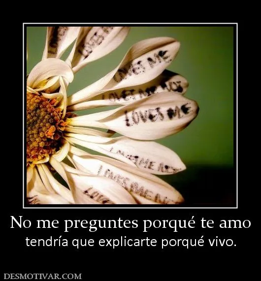 Desmotivaciones No me preguntes porqué te amo tendría que ... Desmotivaciones No me preguntes porqué te amo tendría que ...