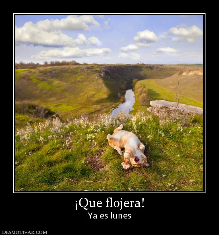 Desmotivaciones ¡Que flojera! Ya es lunes